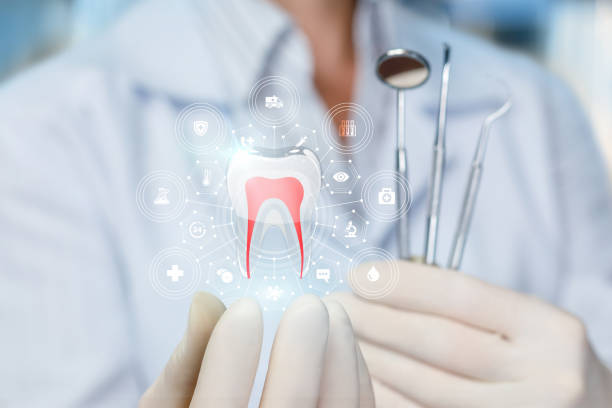 Bainbridge Island, WA Holistic Dental Care Services Company